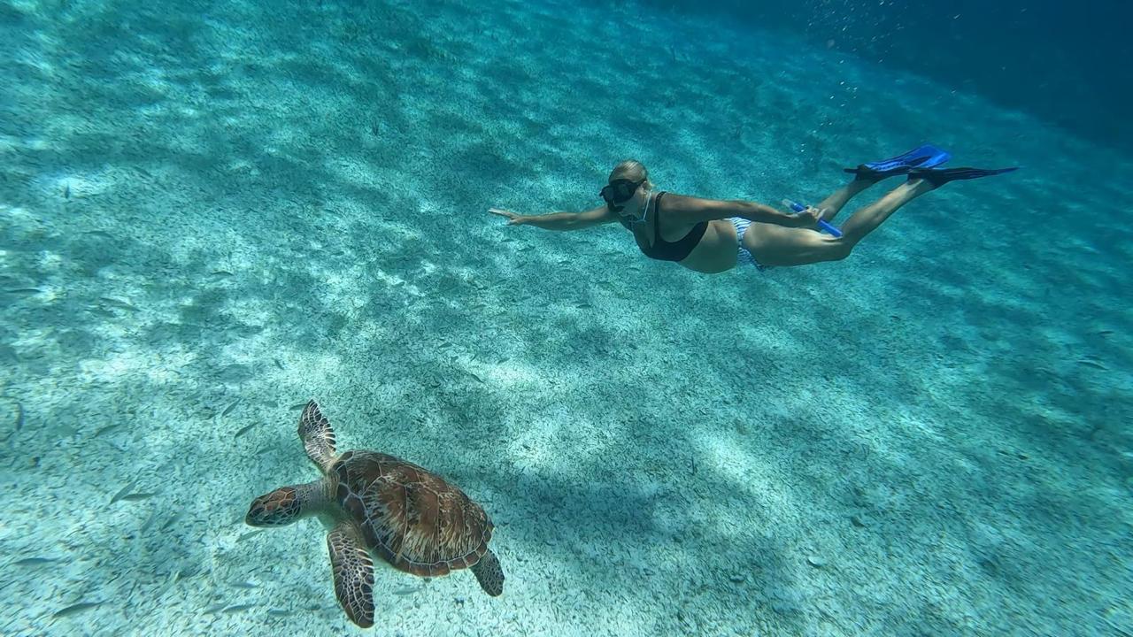 Great day snorkeling